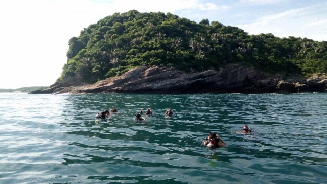 Actividad de snorkel